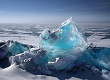 国际足联：美加墨世界杯冠军将获得5000万美元奖金